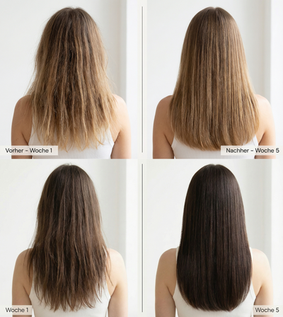 RevaBrush (Bestseller)